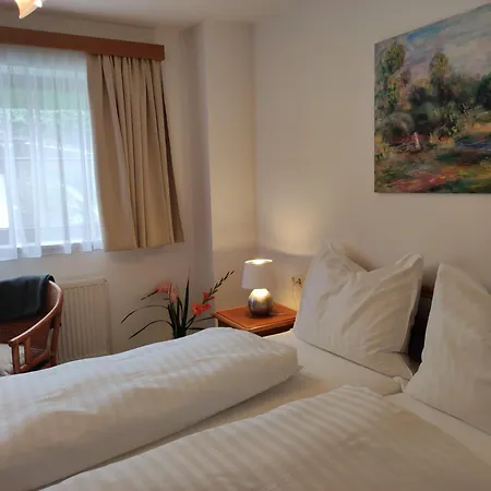 Ploner Apartament Ainet